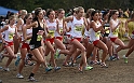 2010CIF XC GD3-0453